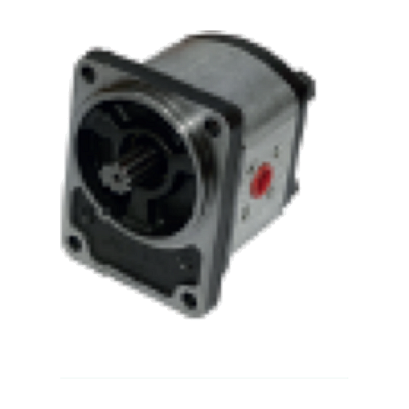 Guldner G 25, 40 Гидравлический Насос (1PN119CSS3/431)