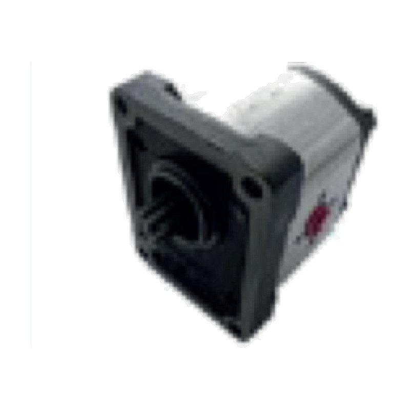 Lindner 420SA, 420A, 450, 520, 550, 620, 1650, 1650A, 1700A پمپ هیدرولیک (1PN168CSS3/449)